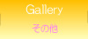 その他の作品のギャラリー